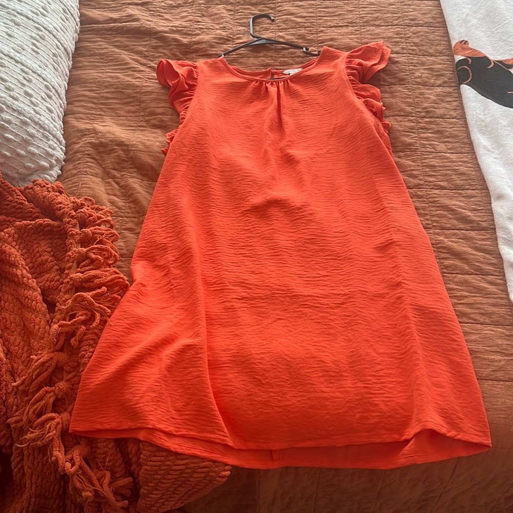 Cato dress size large